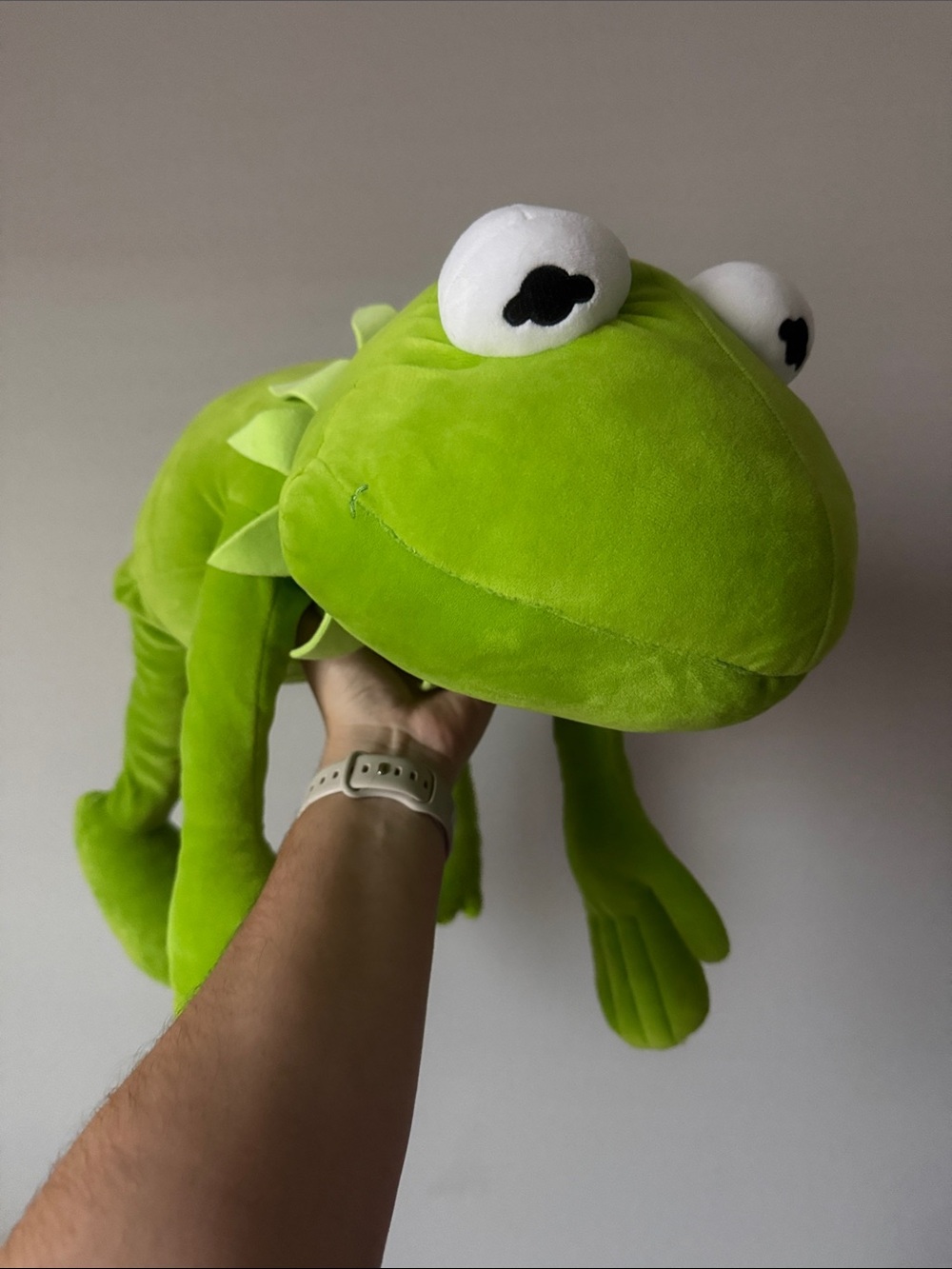 Kermit The Frog Cuddlez